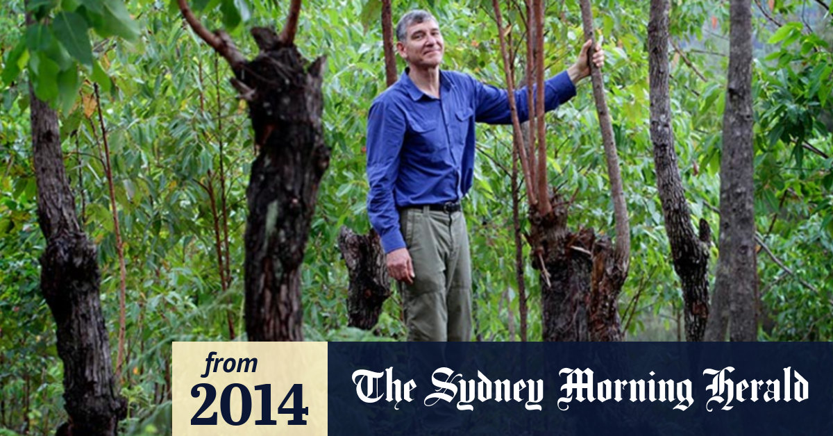 Video The tree whisperer